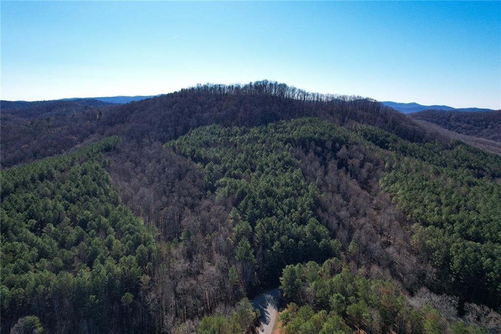 Reece Mountain Road, Ellijay, Georgia image 7