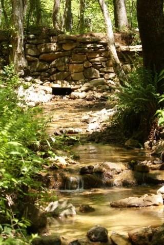 Reece Mountain Road, Ellijay, Georgia image 8