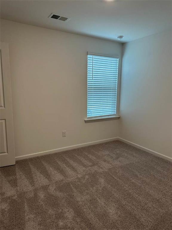 1001 Limburg Dr Bnd, Hampton, Georgia image 13