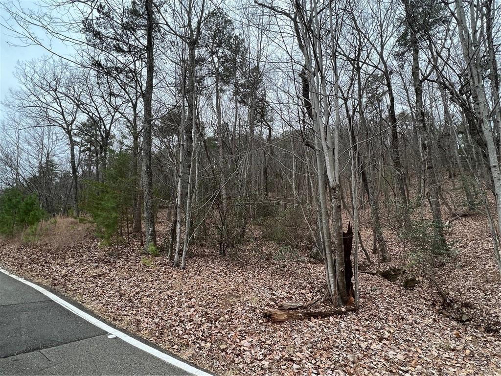 2538 Turnbury Lane, Jasper, Georgia image 7