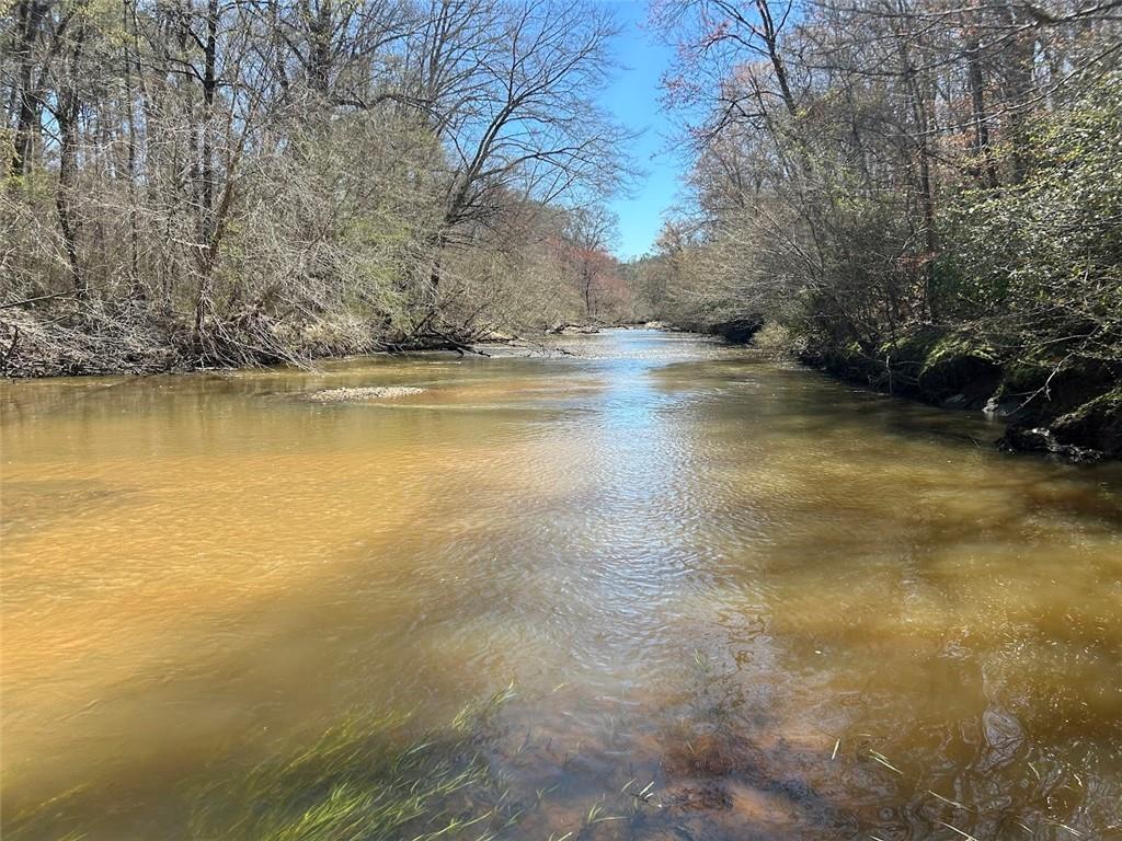 250 Riversong Road, Carrollton, Georgia image 10