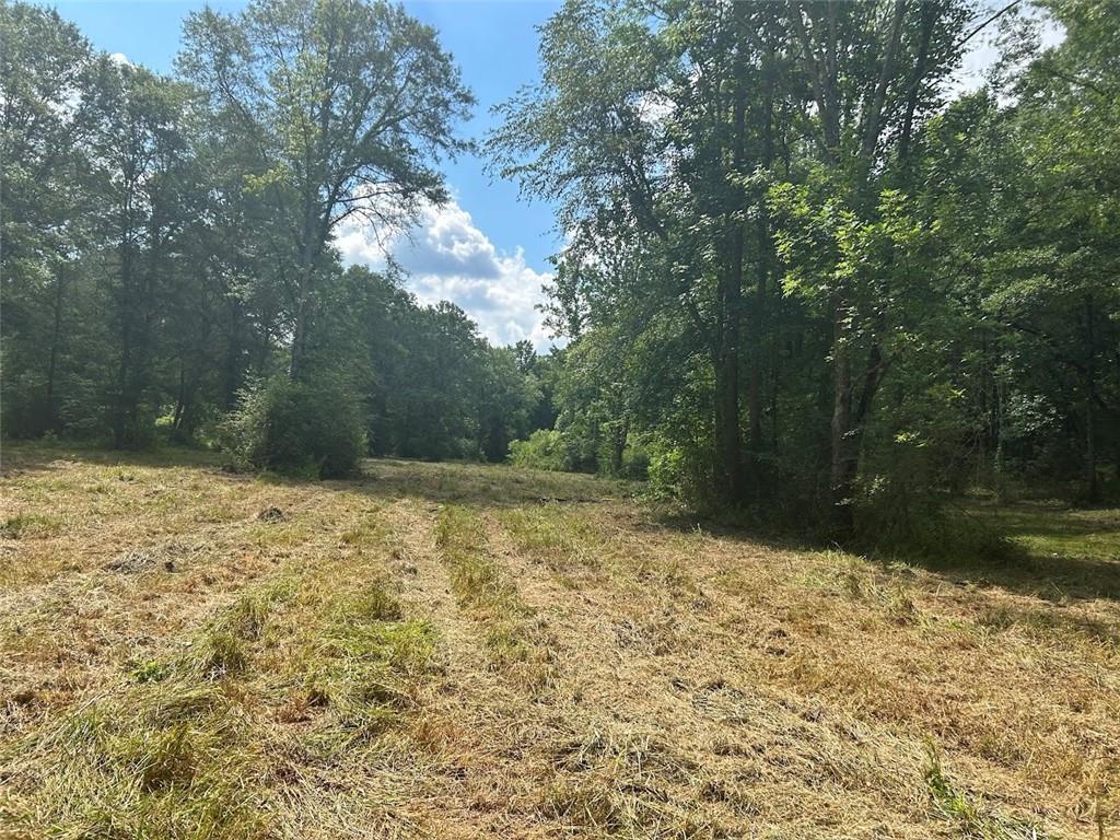 250 Riversong Road, Carrollton, Georgia image 24