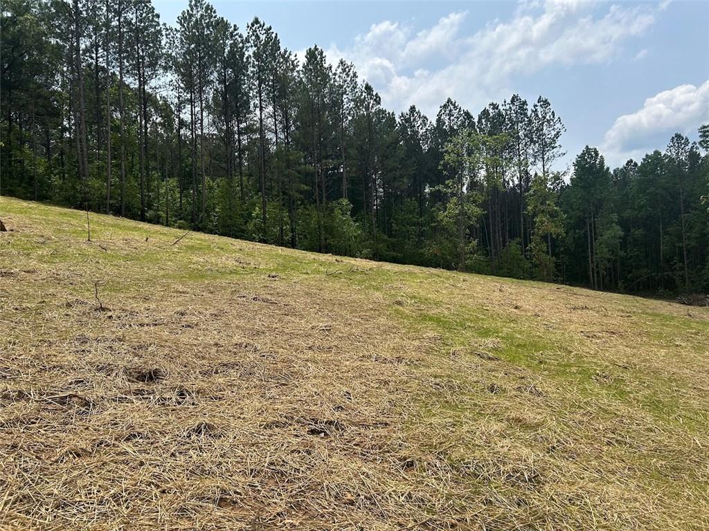 250 Riversong Road, Carrollton, Georgia image 2