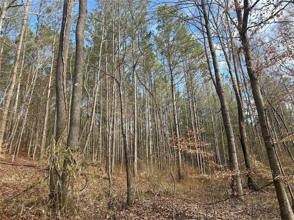 250 Riversong Road, Carrollton, Georgia image 48