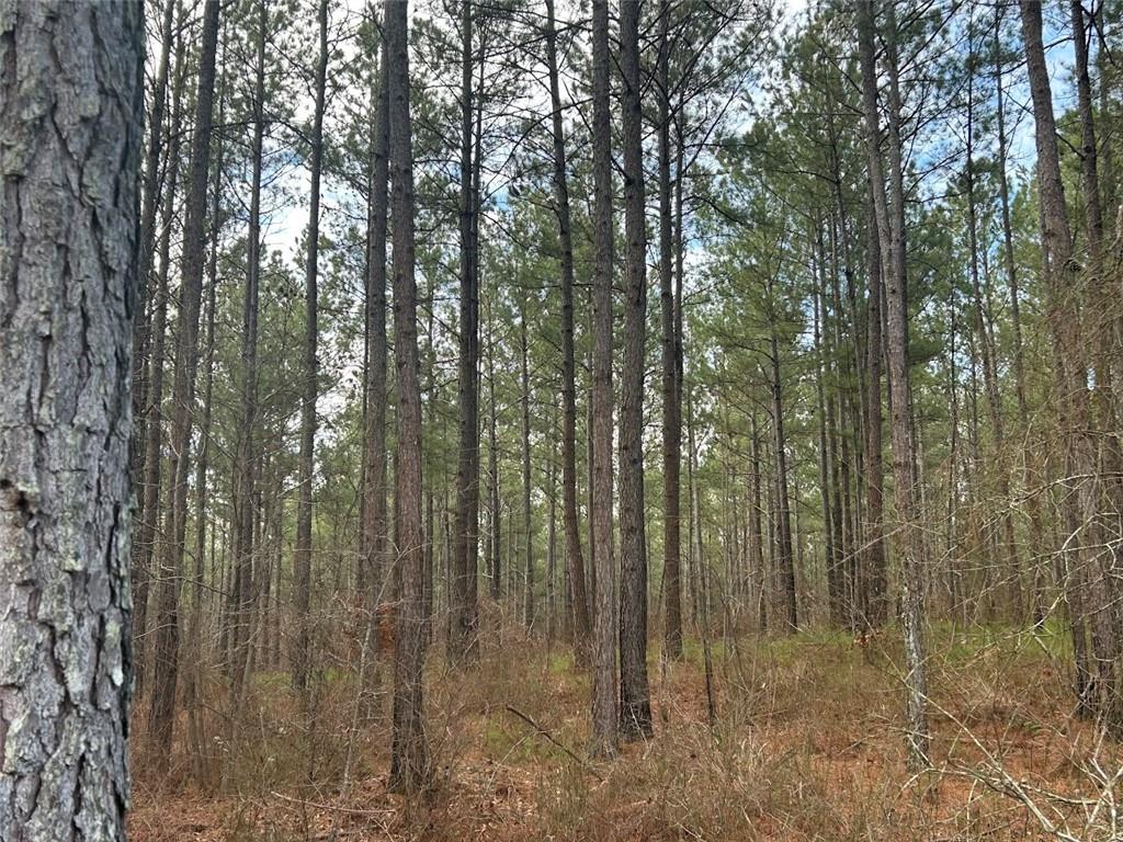 250 Riversong Road, Carrollton, Georgia image 6