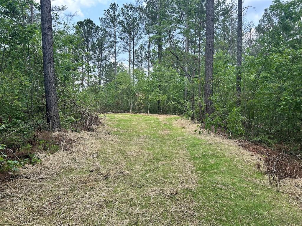 250 Riversong Road, Carrollton, Georgia image 8
