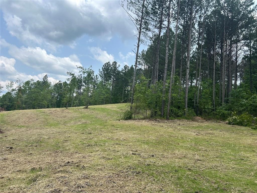 250 Riversong Road, Carrollton, Georgia image 7
