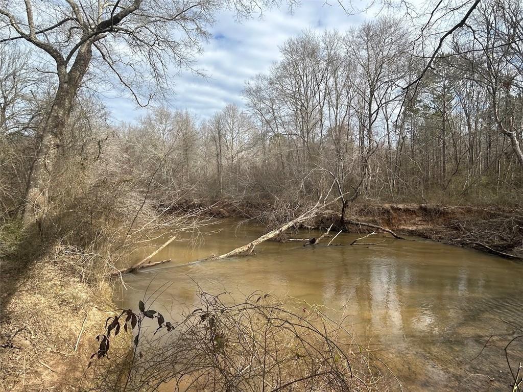 250 Riversong Road, Carrollton, Georgia image 41