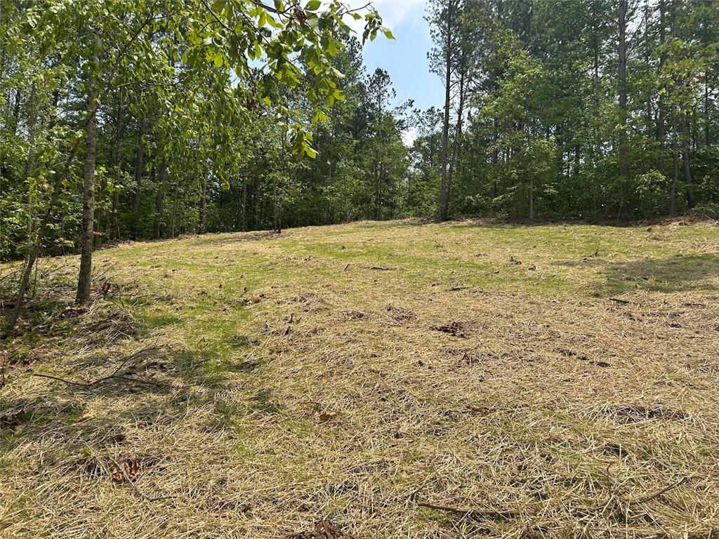250 Riversong Road, Carrollton, Georgia image 5