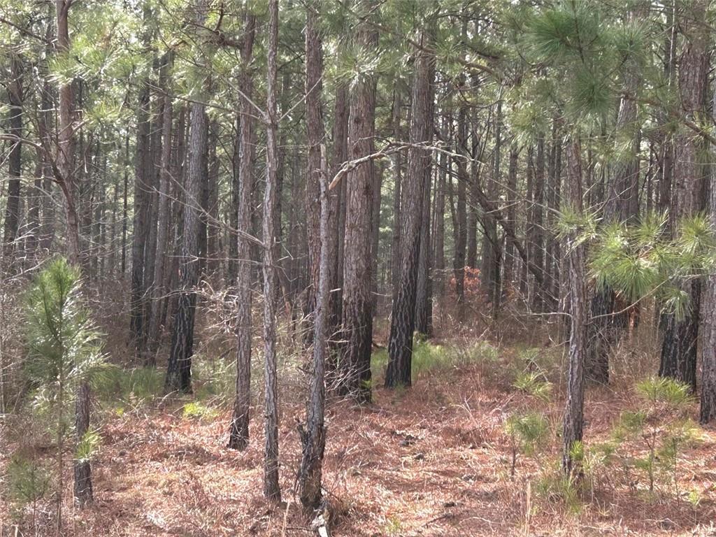 250 Riversong Road, Carrollton, Georgia image 4