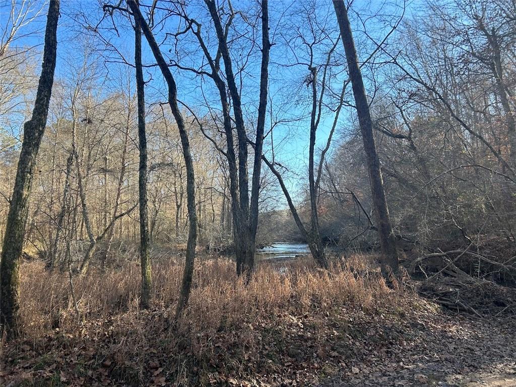 250 Riversong Road, Carrollton, Georgia image 28