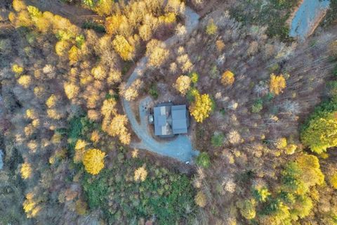 A home in Blue Ridge