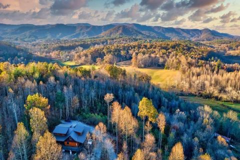 A home in Blue Ridge