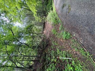 Ts Jarrard Rd, Unit Tract 3, Dahlonega, Georgia image 8