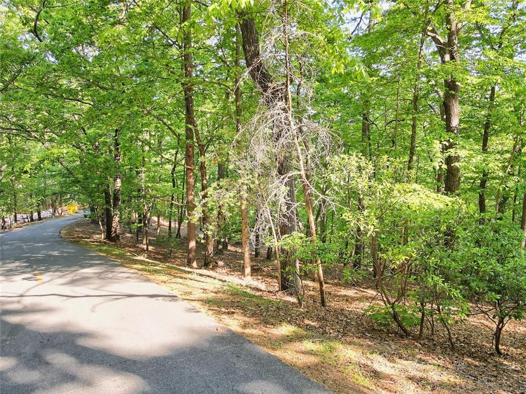 6368 Huckleberry Trail, Big Canoe, Georgia image 3