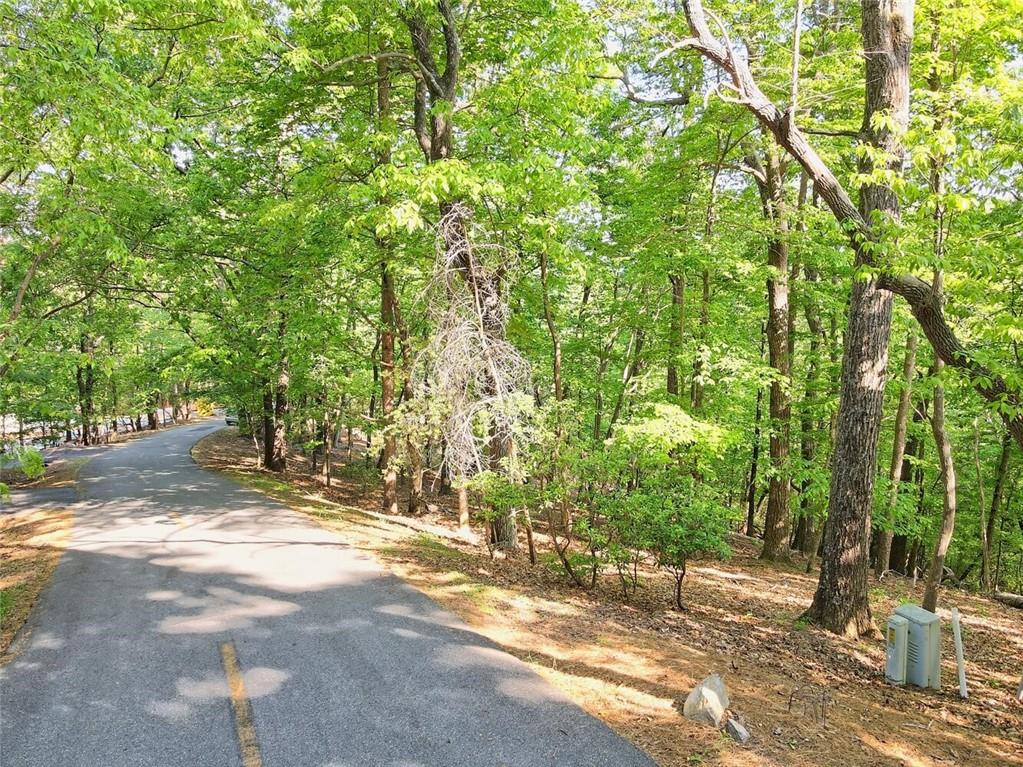 6368 Huckleberry Trail, Big Canoe, Georgia image 4