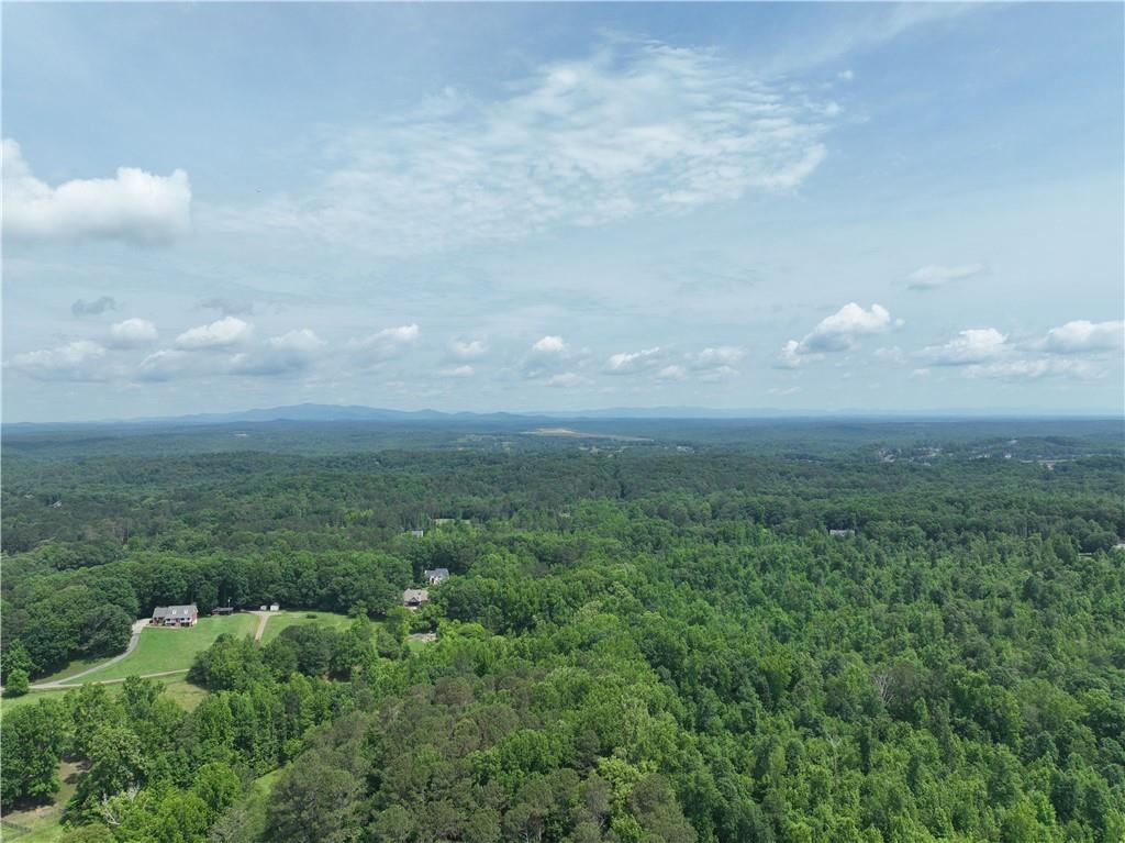 8121 Heardsville Circle, Cumming, Georgia image 11