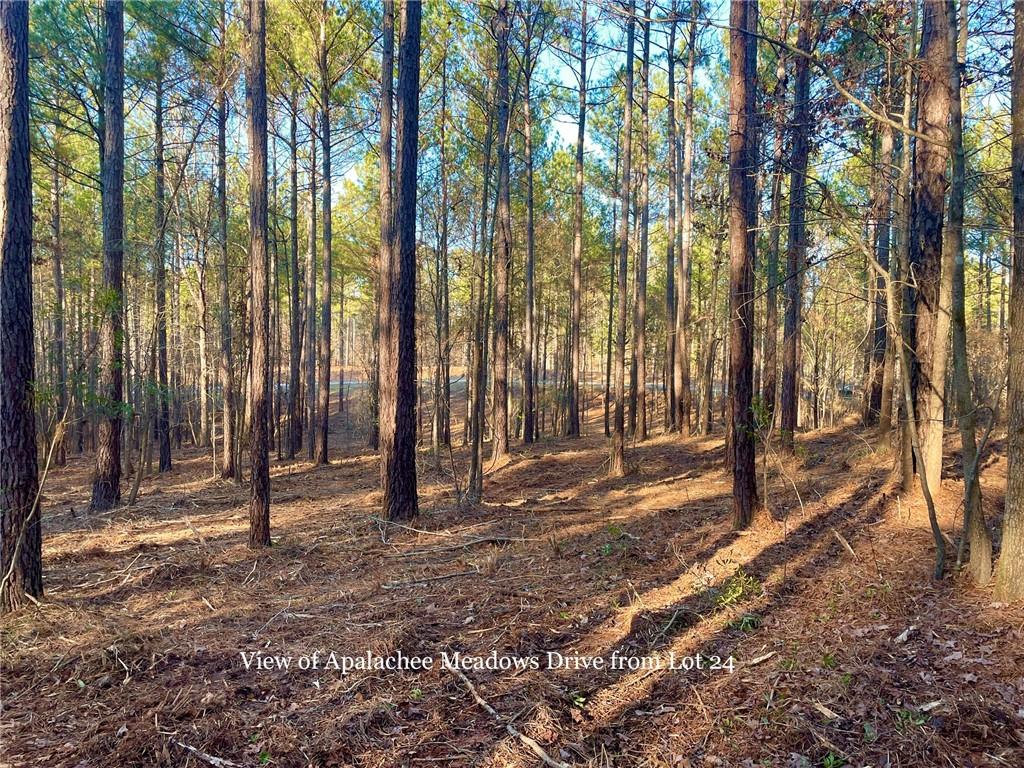 LOT 24 Apalachee Meadows Drive, Madison, Georgia image 6