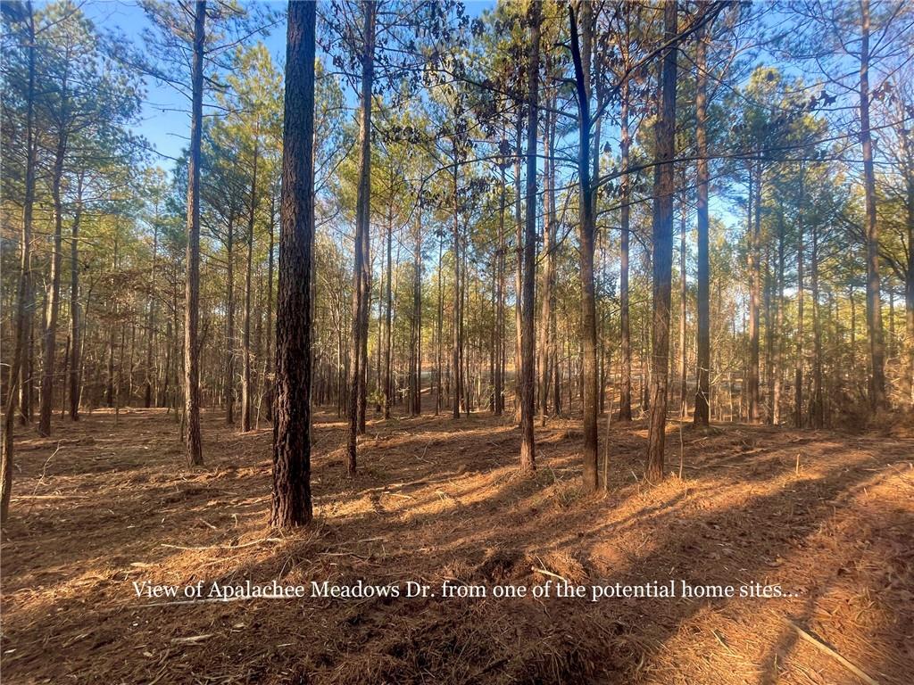 LOT 24 Apalachee Meadows Drive, Madison, Georgia image 3