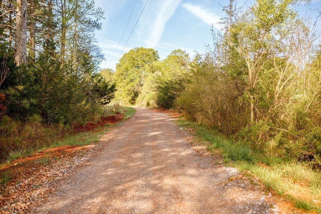 Old Potash Road, Cedartown, Georgia image 1