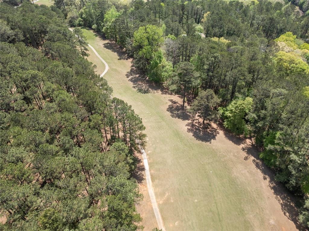 142 Flamingo Drive, Monticello, Georgia image 4