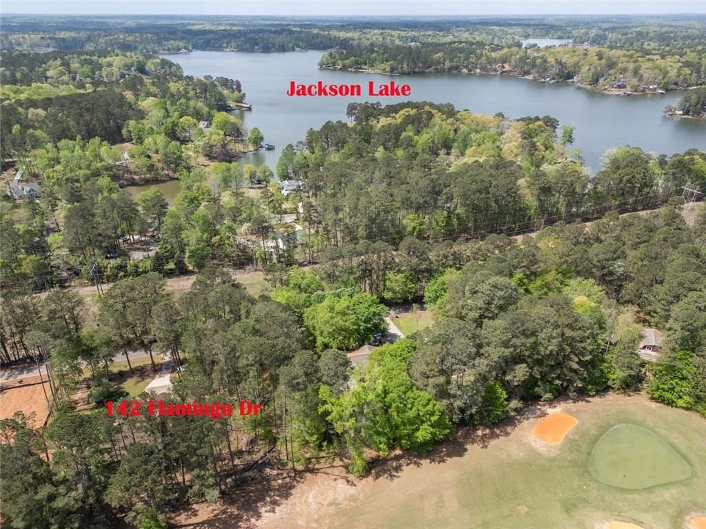 142 Flamingo Drive, Monticello, Georgia image 2