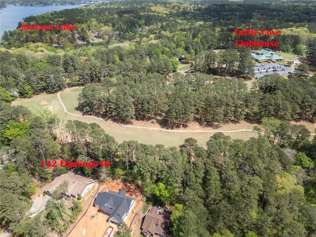 142 Flamingo Drive, Monticello, Georgia image 3