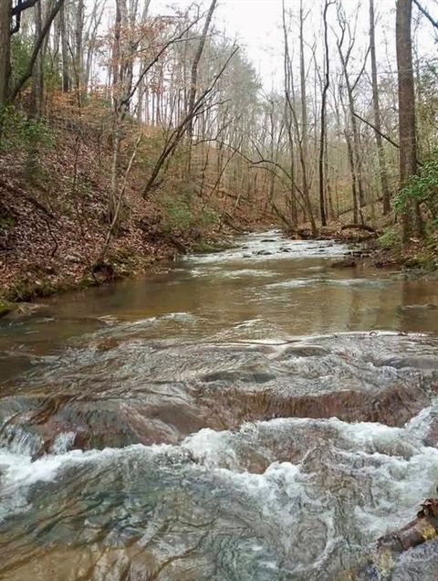 517 Misty Creek Canton GA 30114