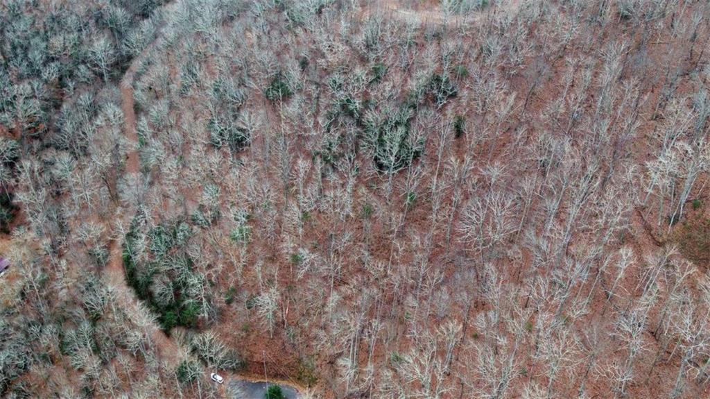 333 Favor Lane, Rabun Gap, Georgia image 16