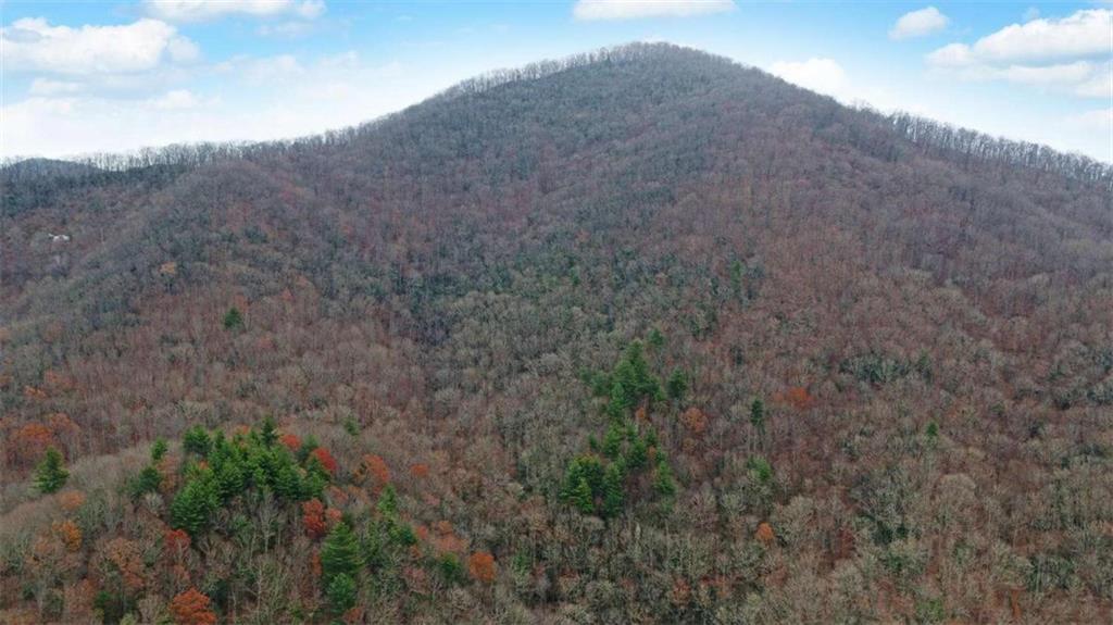 333 Favor Lane, Rabun Gap, Georgia image 11