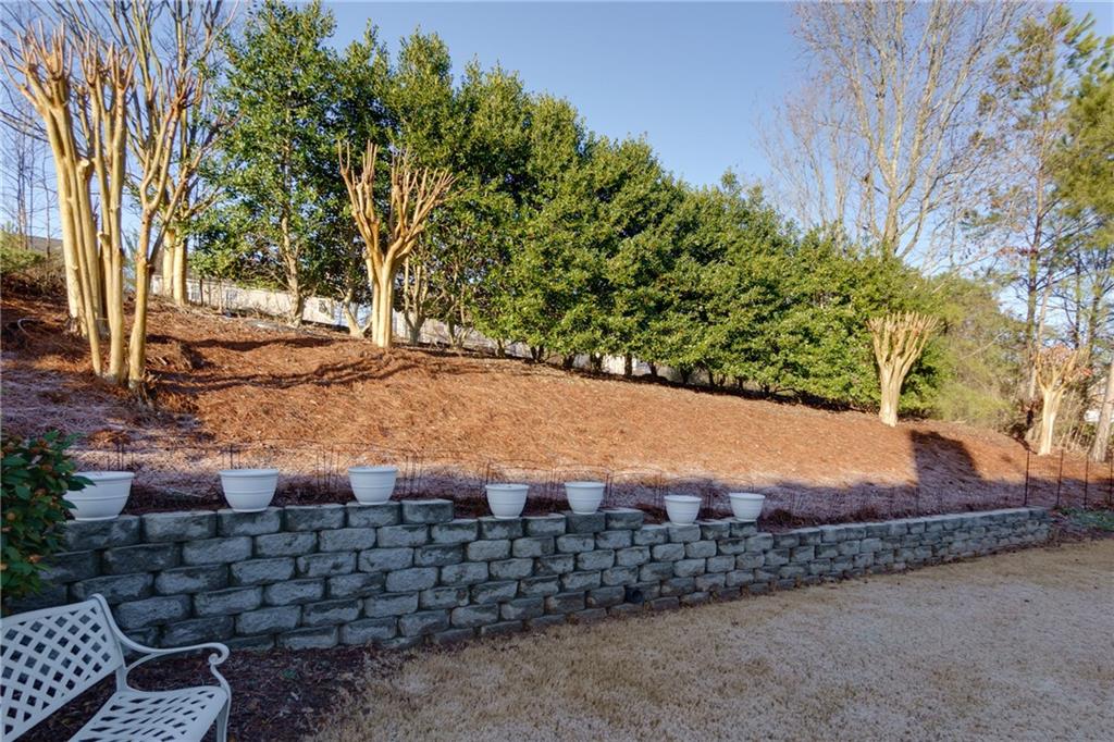 4030 Crescent Walk Lane, Suwanee, Georgia image 28
