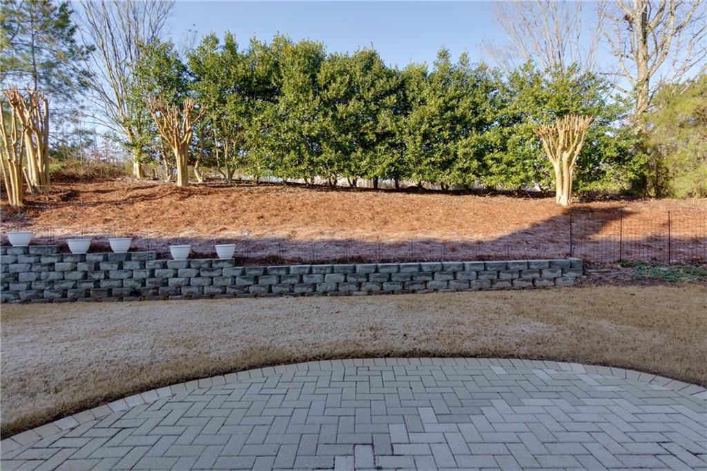 4030 Crescent Walk Lane, Suwanee, Georgia image 22