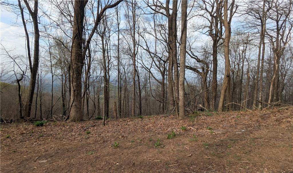 7188 Ridgeview Drive