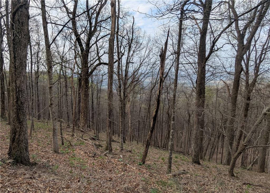 7188 Ridgeview Drive