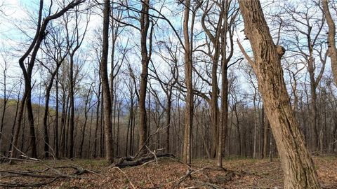 Photo of 7188 Ridgeview Drive, Big Canoe, GA 30143 (MLS # 7756674)