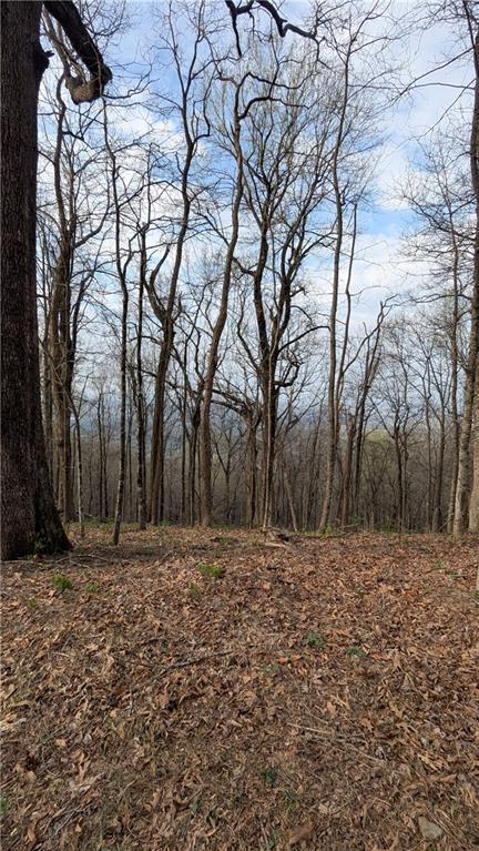 7188 Ridgeview Drive