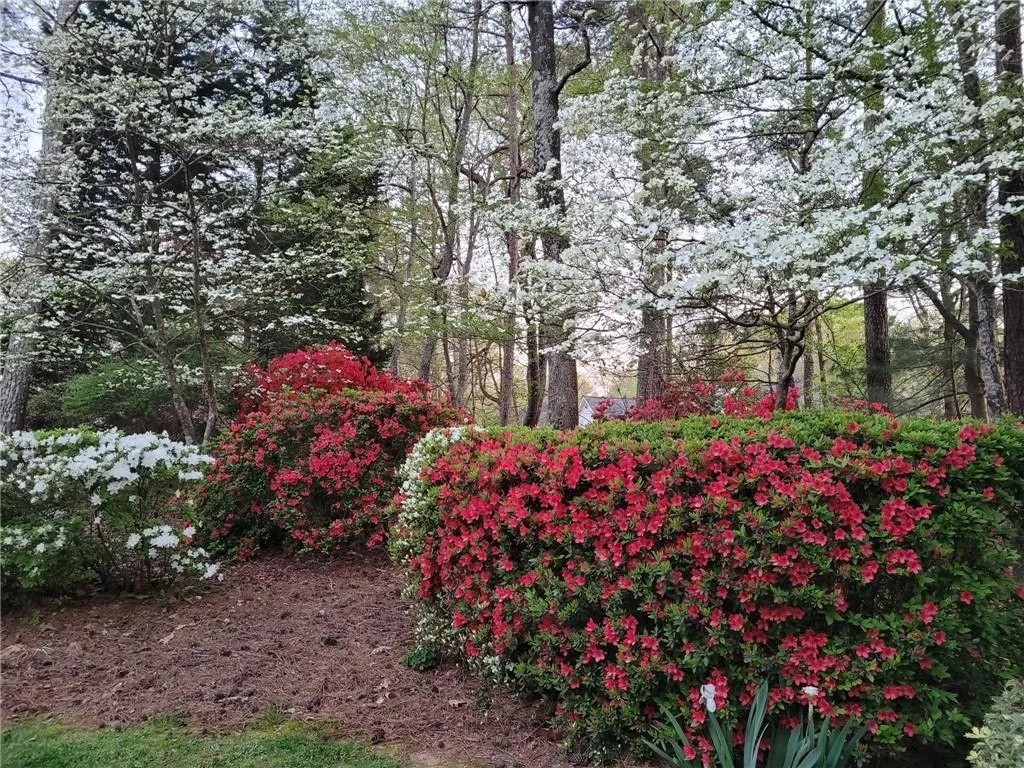 Duluth, Georgia 30097, United States, 4 Bedrooms Bedrooms, ,4 BathroomsBathrooms,Residential,Active,113887