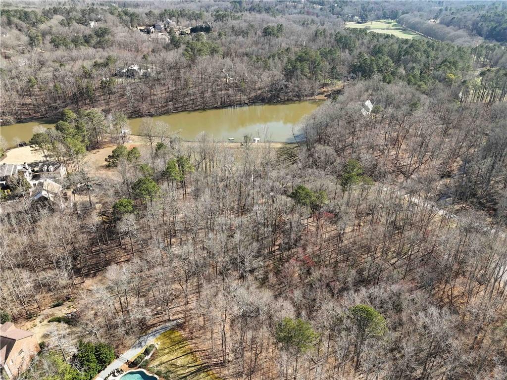 213 Canterbury Lane, Alpharetta, Georgia image 4