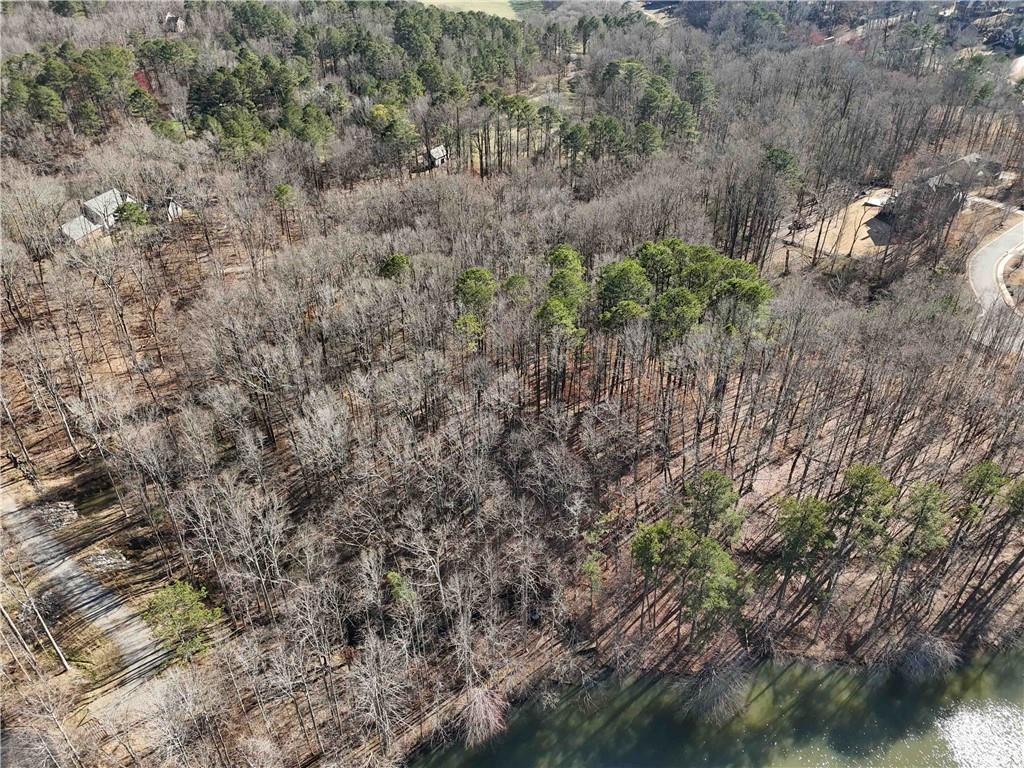 213 Canterbury Lane, Alpharetta, Georgia image 10