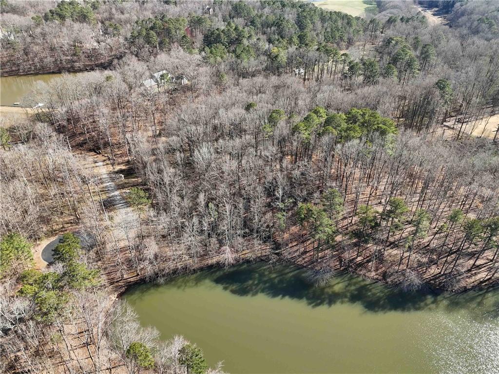 213 Canterbury Lane, Alpharetta, Georgia image 7
