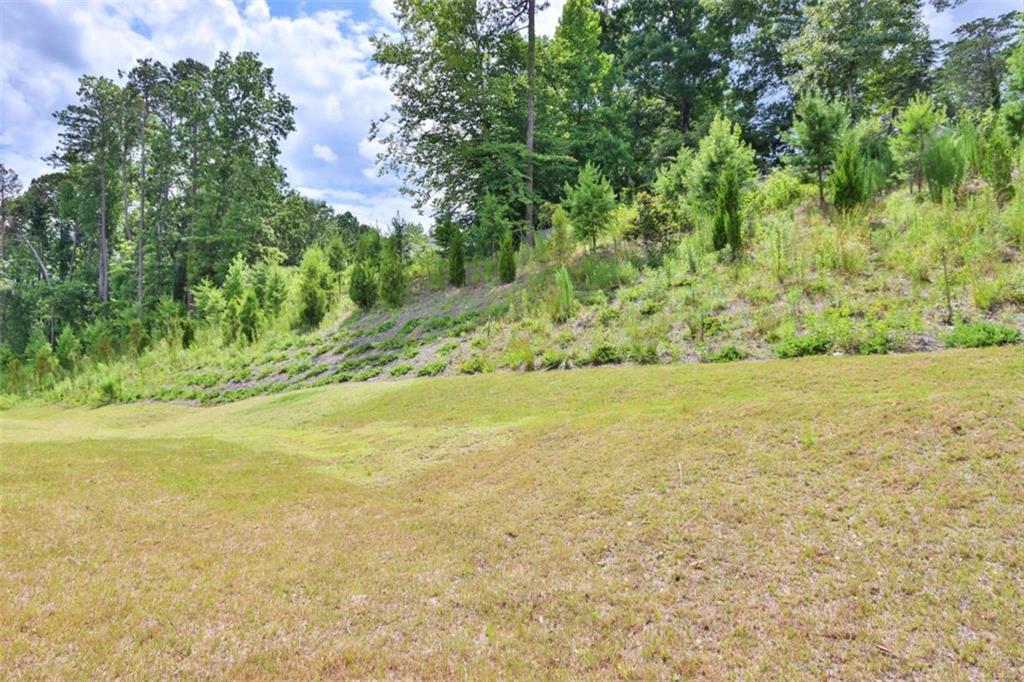 311 Wells Circle, Canton, Georgia image 18