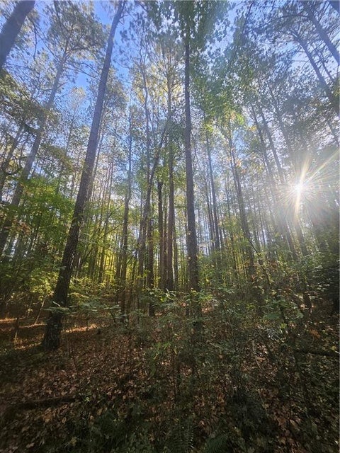 Vacant Land For Sale - 4861 Moon Road<br/> Cobb County, Powder Springs, GA 30127
