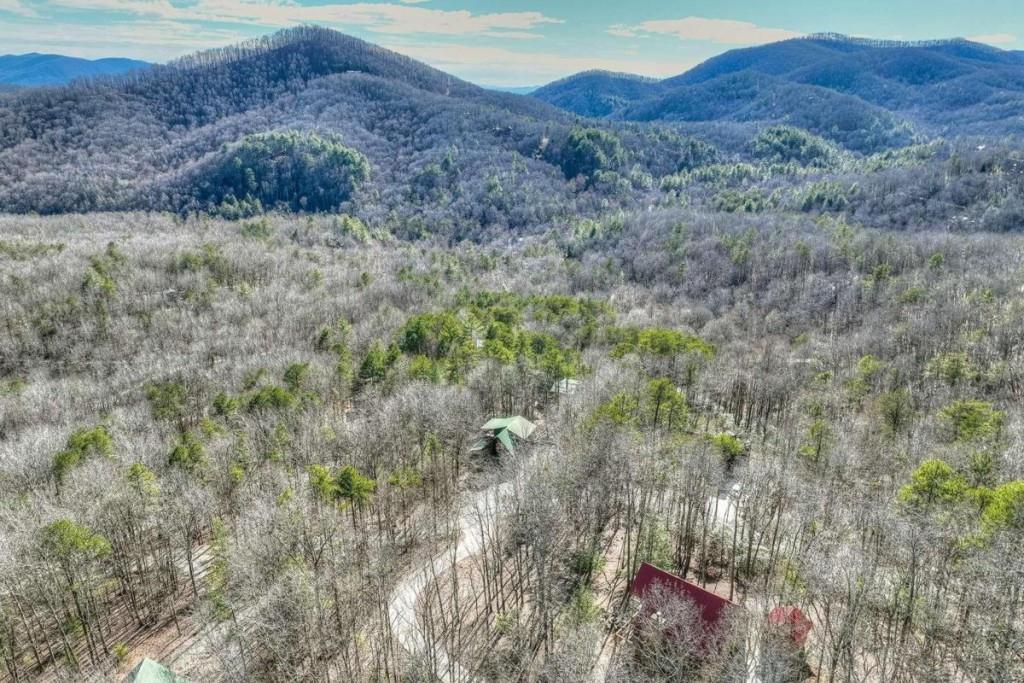 494 Lower Prince Mountain Road #18, Cherry Log, Georgia image 2