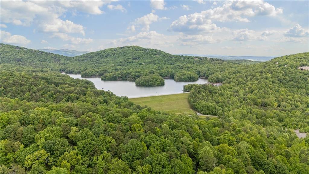 85 Post Oak Lane, Big Canoe, Georgia image 40