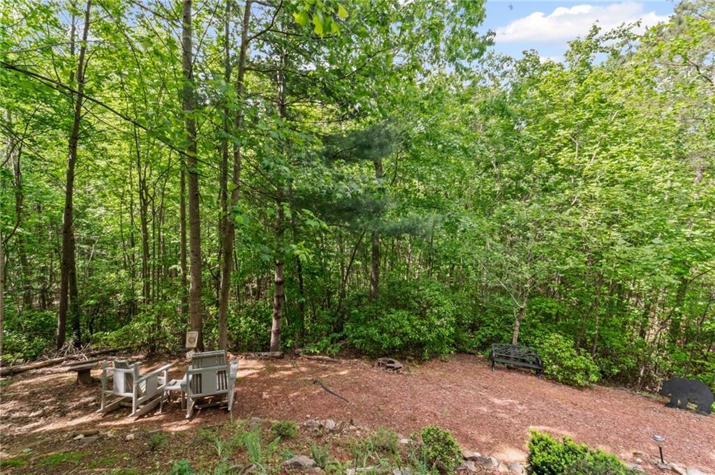 85 Post Oak Lane, Big Canoe, Georgia image 33