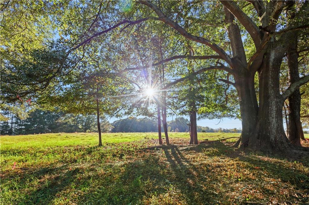 1210 Carson Graves Road