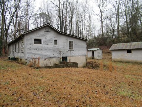 A home in Dahlonega