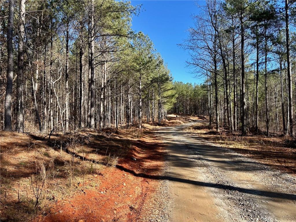 1107 Larmon Forks Road