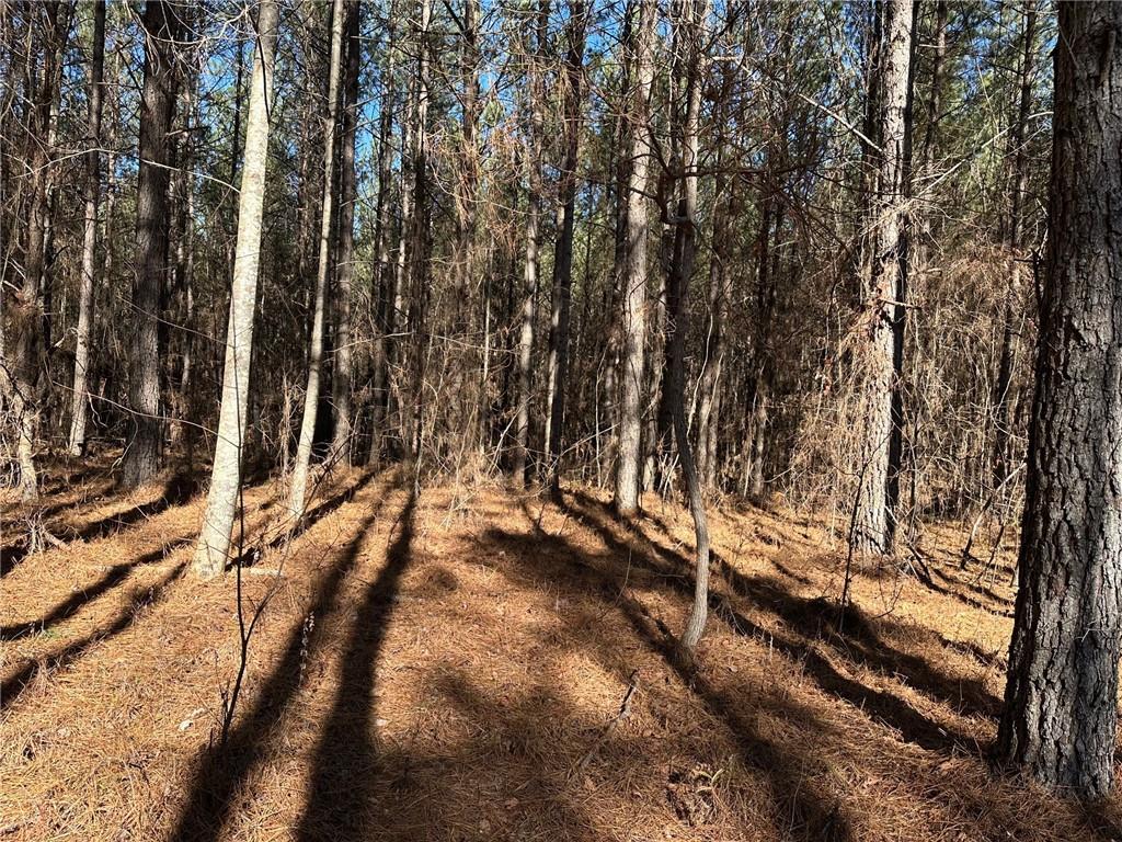 1107 Larmon Forks Road