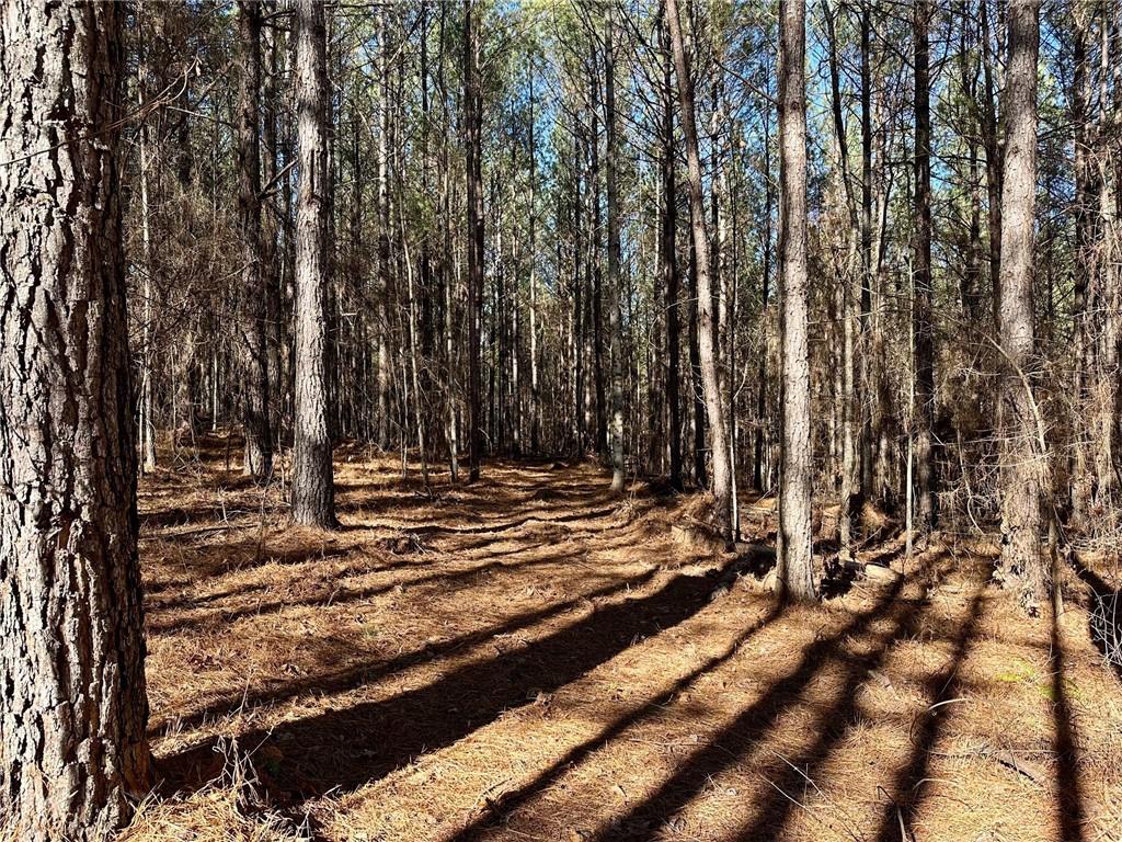 1107 Larmon Forks Road